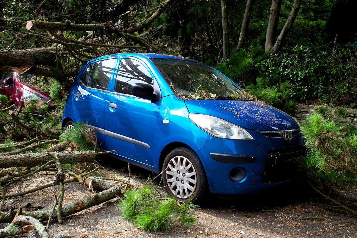 A blue car trapped under fallen trees in a post-storm scene in the UK